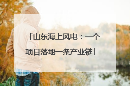 山东海上风电：一个项目落地一条产业链