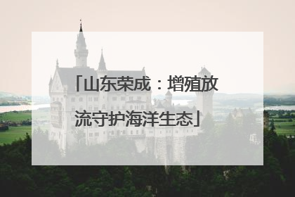 山东荣成：增殖放流守护海洋生态