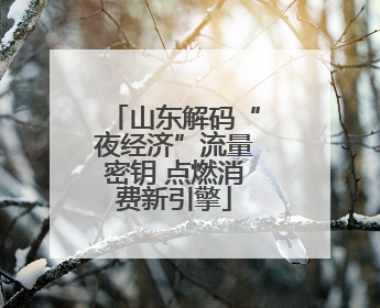 山东解码“夜经济”流量密钥 点燃消费新引擎