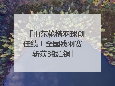 山东轮椅羽球创佳绩！全国残羽赛斩获3银1铜