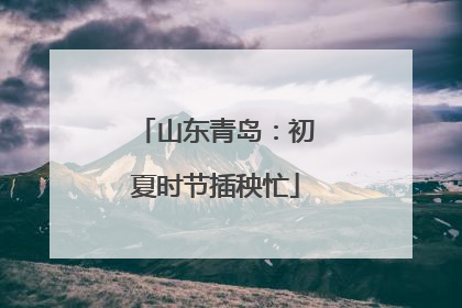 山东青岛：初夏时节插秧忙