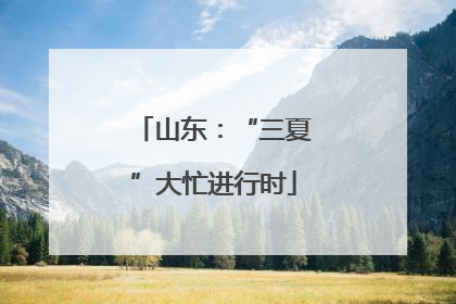 山东：“三夏”大忙进行时