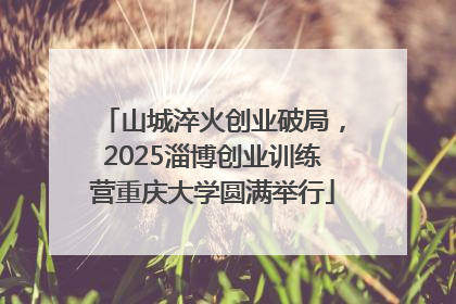 山城淬火创业破局，2025淄博创业训练营重庆大学圆满举行