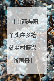 山西寿阳羊头崖乡绘就乡村振兴新图景