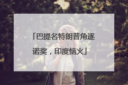 巴提名特朗普角逐诺奖，印度恼火