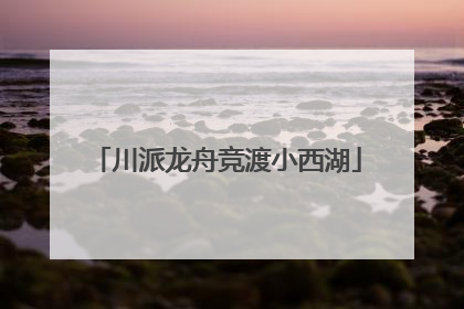 川派龙舟竞渡小西湖