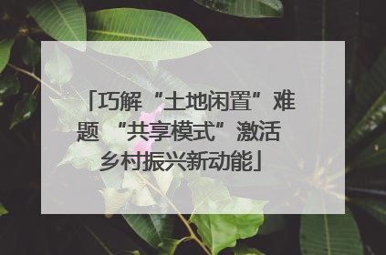 巧解“土地闲置”难题 “共享模式”激活乡村振兴新动能