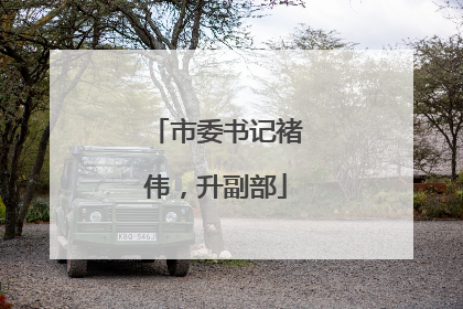 市委书记褚伟，升副部