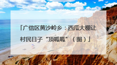广信区黄沙岭乡：西瓜大棚让村民日子“顶呱呱”（图）