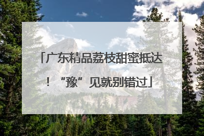 广东精品荔枝甜蜜抵达！“豫”见就别错过