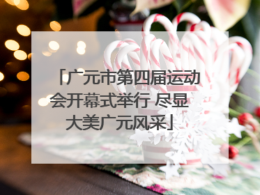 广元市第四届运动会开幕式举行 尽显大美广元风采