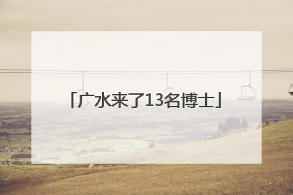 广水来了13名博士