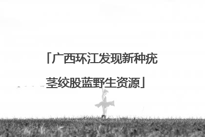 广西环江发现新种疣茎绞股蓝野生资源