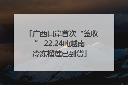 广西口岸首次“签收” 22.24吨越南冷冻榴莲已到货