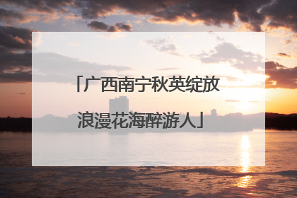 广西南宁秋英绽放 浪漫花海醉游人