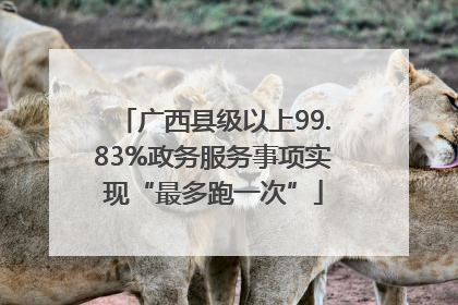 广西县级以上99.83%政务服务事项实现“最多跑一次”