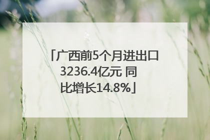 广西前5个月进出口3236.4亿元 同比增长14.8%