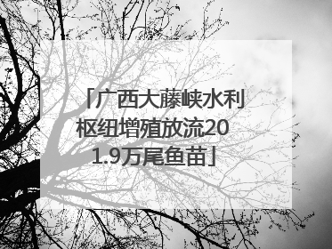 广西大藤峡水利枢纽增殖放流201.9万尾鱼苗