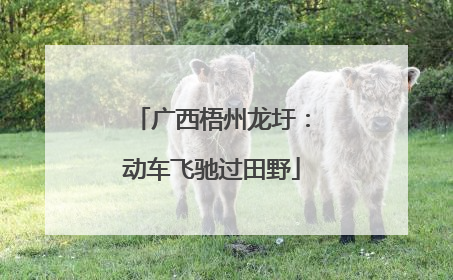 广西梧州龙圩：动车飞驰过田野