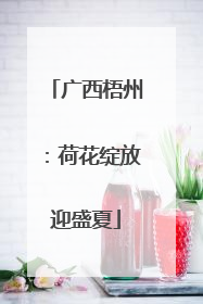 广西梧州：荷花绽放迎盛夏