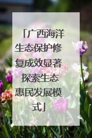 广西海洋生态保护修复成效显著 探索生态惠民发展模式
