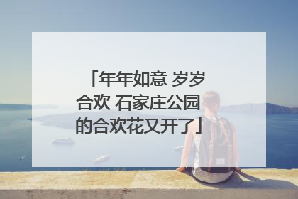 年年如意 岁岁合欢 石家庄公园的合欢花又开了