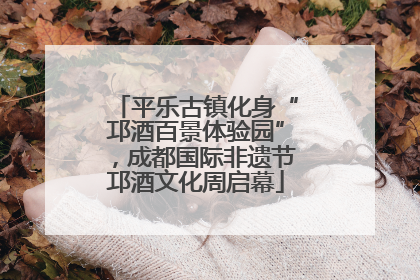 平乐古镇化身“邛酒百景体验园”，成都国际非遗节邛酒文化周启幕