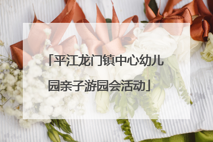 平江龙门镇中心幼儿园亲子游园会活动