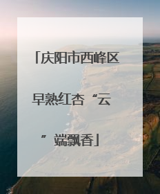 庆阳市西峰区 早熟红杏“云”端飘香