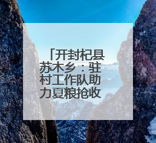 开封杞县苏木乡：驻村工作队助力夏粮抢收按下 “快进键”