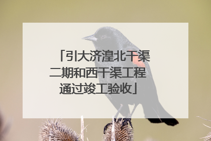 引大济湟北干渠二期和西干渠工程通过竣工验收