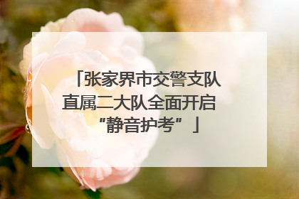 张家界市交警支队直属二大队全面开启“静音护考”