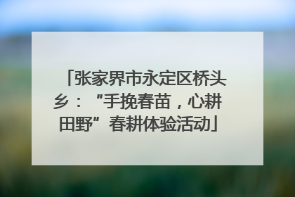 张家界市永定区桥头乡：“手挽春苗，心耕田野”春耕体验活动