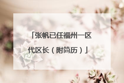 张帆已任福州一区代区长（附简历）