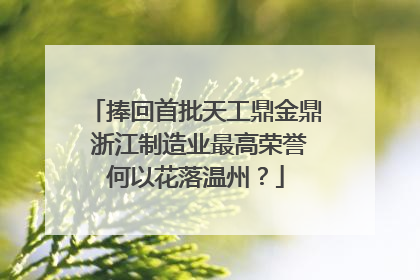 捧回首批天工鼎金鼎 浙江制造业最高荣誉何以花落温州？