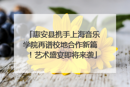 惠安县携手上海音乐学院再谱校地合作新篇！艺术盛宴即将来袭