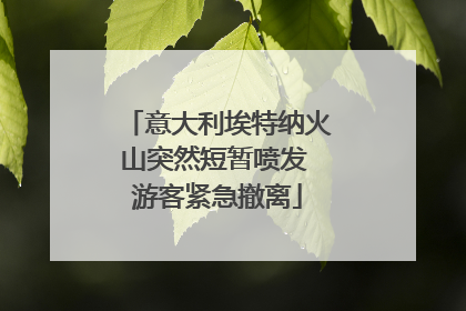 意大利埃特纳火山突然短暂喷发 游客紧急撤离