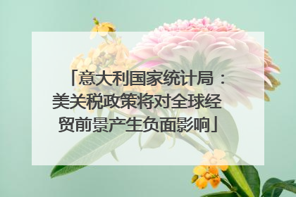 意大利国家统计局：美关税政策将对全球经贸前景产生负面影响