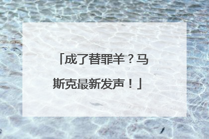 成了替罪羊？马斯克最新发声！