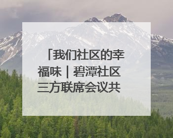 我们社区的幸福味｜碧潭社区三方联席会议共建紫岫幸福家