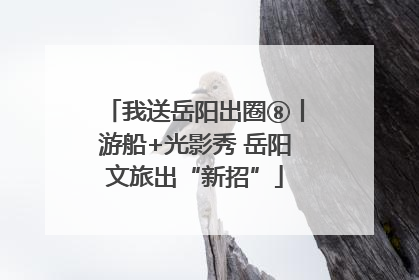 我送岳阳出圈⑧丨游船+光影秀 岳阳文旅出“新招”