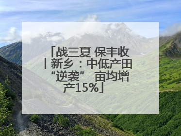 战三夏 保丰收丨新乡：中低产田“逆袭” 亩均增产15%