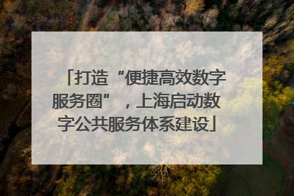 打造“便捷高效数字服务圈”，上海启动数字公共服务体系建设