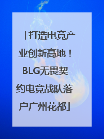 打造电竞产业创新高地！BLG无畏契约电竞战队落户广州花都