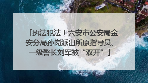 执法犯法！六安市公安局金安分局孙岗派出所原指导员、一级警长刘军被“双开”