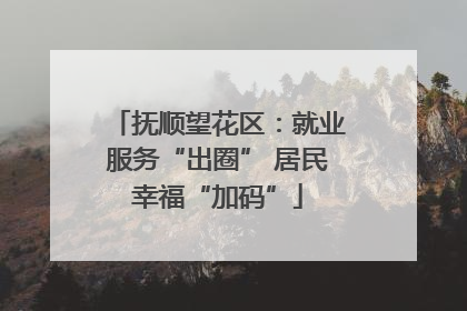 抚顺望花区：就业服务“出圈” 居民幸福“加码”