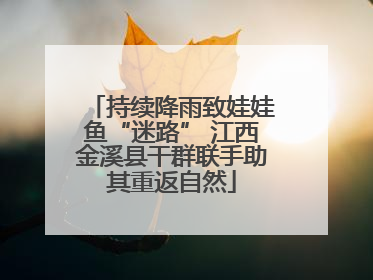 持续降雨致娃娃鱼“迷路” 江西金溪县干群联手助其重返自然