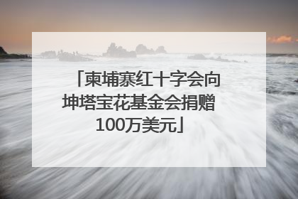 柬埔寨红十字会向坤塔宝花基金会捐赠100万美元