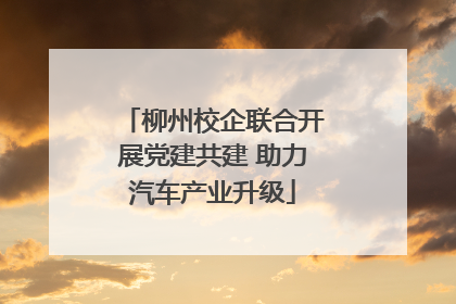 柳州校企联合开展党建共建 助力汽车产业升级