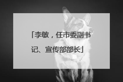 李敏，任市委副书记、宣传部部长